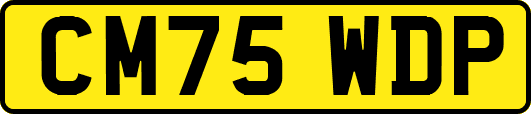 CM75WDP
