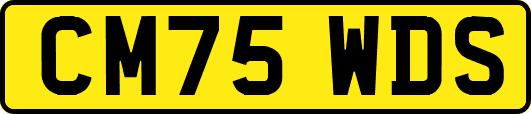 CM75WDS