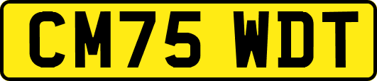 CM75WDT