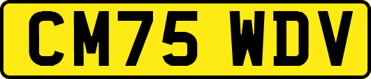 CM75WDV