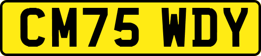 CM75WDY