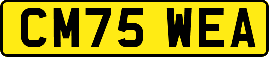 CM75WEA