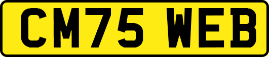 CM75WEB