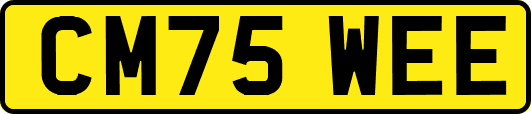 CM75WEE