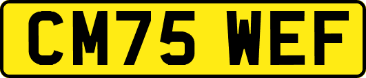CM75WEF