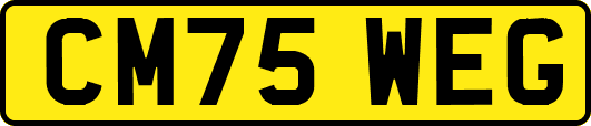 CM75WEG