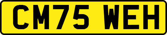CM75WEH