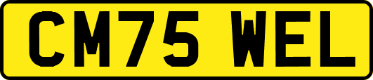 CM75WEL