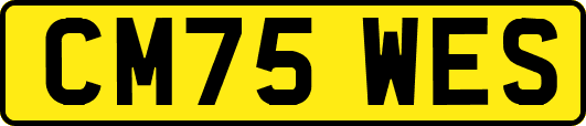 CM75WES