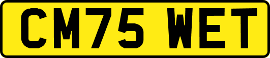 CM75WET