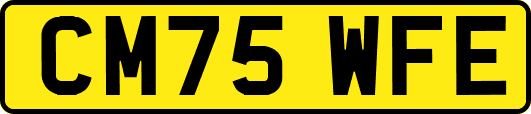 CM75WFE