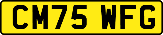 CM75WFG