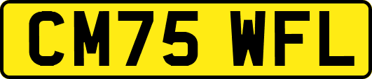 CM75WFL
