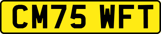 CM75WFT
