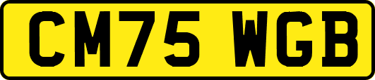 CM75WGB