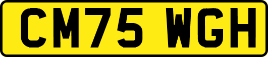 CM75WGH