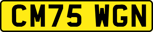 CM75WGN