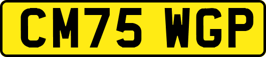 CM75WGP