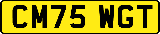CM75WGT