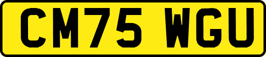 CM75WGU