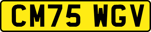 CM75WGV