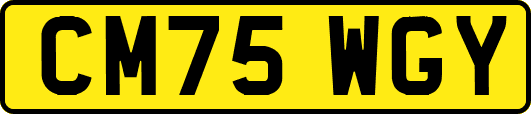 CM75WGY
