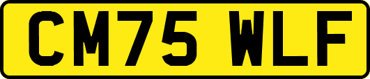 CM75WLF