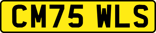 CM75WLS