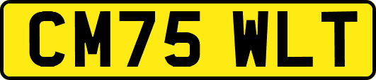 CM75WLT