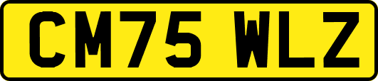 CM75WLZ