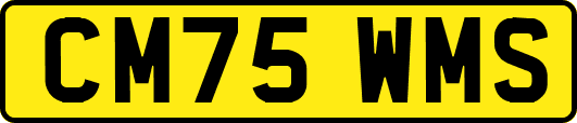 CM75WMS