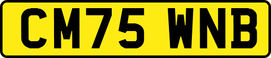 CM75WNB