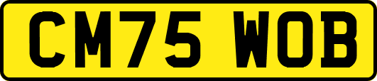 CM75WOB
