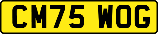 CM75WOG