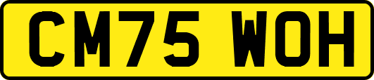 CM75WOH