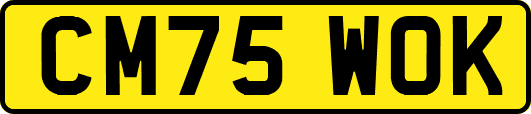 CM75WOK