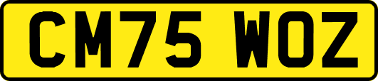 CM75WOZ