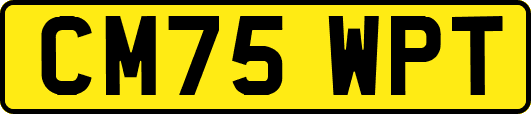 CM75WPT