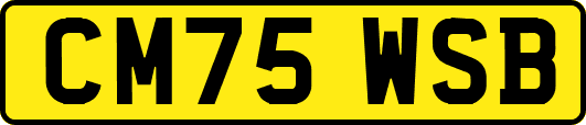 CM75WSB