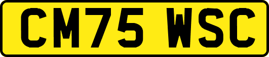 CM75WSC