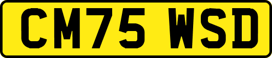 CM75WSD