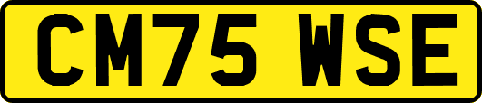 CM75WSE