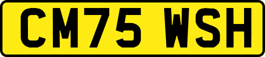 CM75WSH