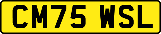CM75WSL