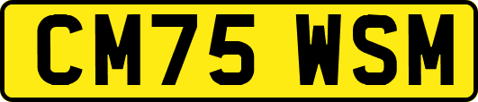 CM75WSM
