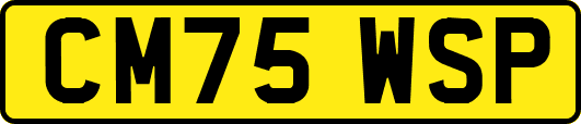CM75WSP