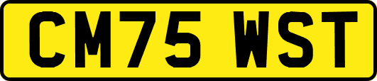 CM75WST