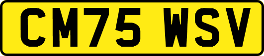 CM75WSV