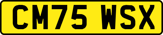 CM75WSX
