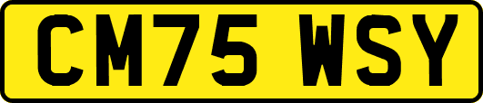 CM75WSY
